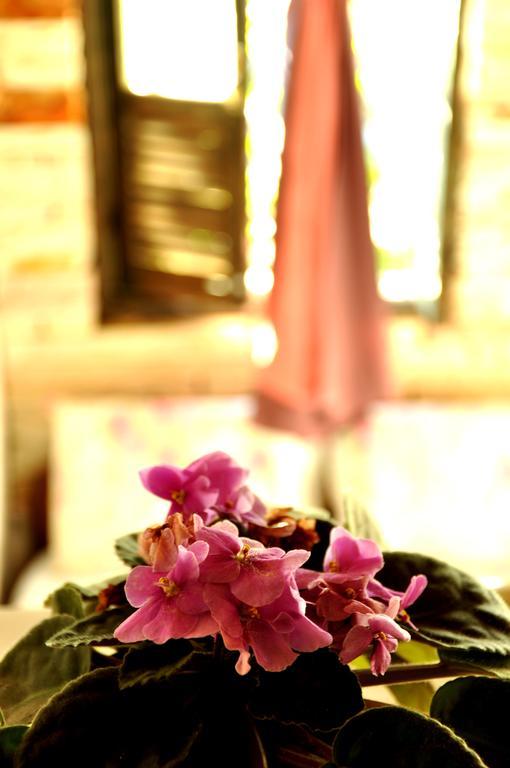 Chale De Pedra - Hospedaria เซาโตเมตัสเลตราส ภายนอก รูปภาพ
